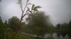Rosarium Webcam