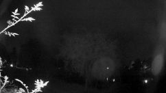 Rosarium Webcam