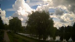 Rosarium Webcam
