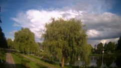 Rosarium Webcam