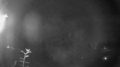 Rosarium Webcam