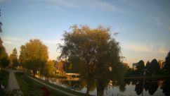 Rosarium Webcam