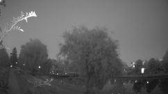 Rosarium Webcam