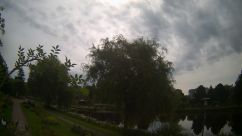 Rosarium Webcam