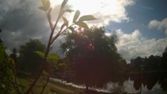 Rosarium Webcam