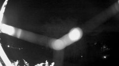 Rosarium Webcam