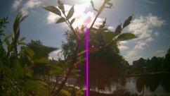 Rosarium Webcam