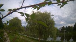 Rosarium Webcam