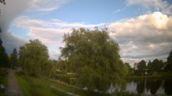 Rosarium Webcam