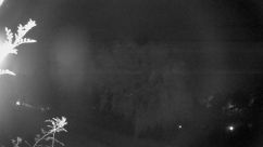 Rosarium Webcam