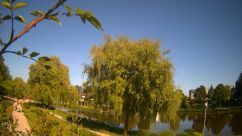 Rosarium Webcam