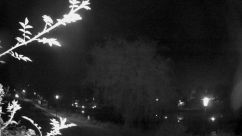 Rosarium Webcam