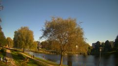 Rosarium Webcam