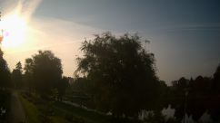Rosarium Webcam