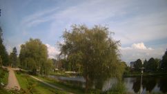 Rosarium Webcam