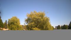 Rosarium Webcam