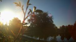 Rosarium Webcam
