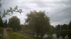 Rosarium Webcam