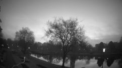 Rosarium Webcam