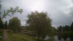 Rosarium Webcam
