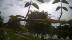 Rosarium Webcam
