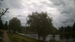 Rosarium Webcam