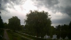 Rosarium Webcam
