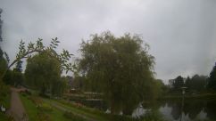 Rosarium Webcam