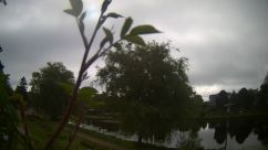 Rosarium Webcam