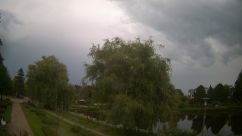 Rosarium Webcam