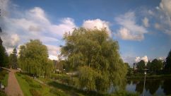 Rosarium Webcam