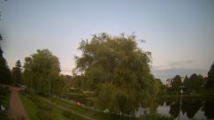Rosarium Webcam