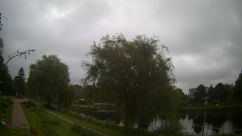 Rosarium Webcam