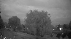 Rosarium Webcam
