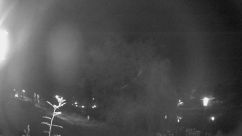 Rosarium Webcam