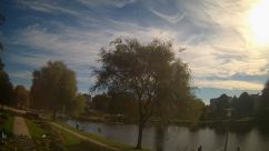 Rosarium Webcam