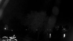 Rosarium Webcam