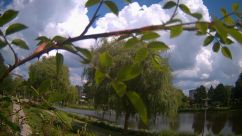 Rosarium Webcam
