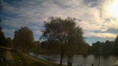 Rosarium Webcam