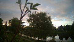 Rosarium Webcam