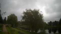 Rosarium Webcam