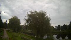 Rosarium Webcam