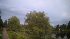 Rosarium Webcam