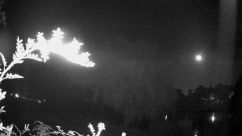 Rosarium Webcam