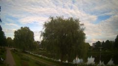 Rosarium Webcam