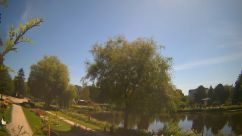 Rosarium Webcam