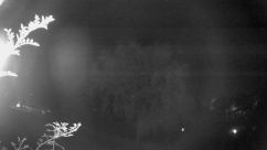 Rosarium Webcam