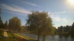 Rosarium Webcam