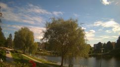 Rosarium Webcam