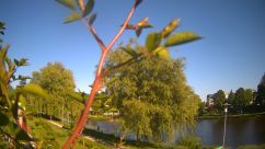 Rosarium Webcam